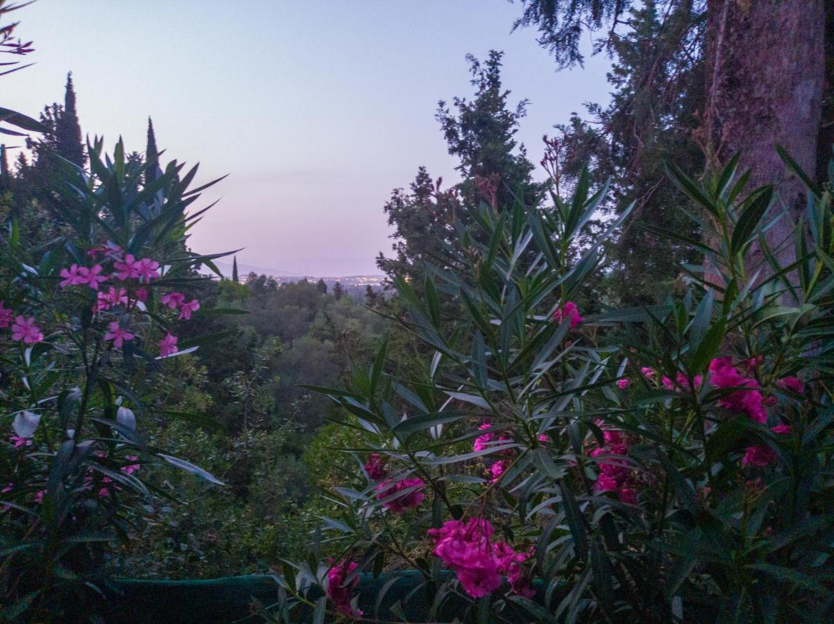 Linda House Corfu Appartamento *