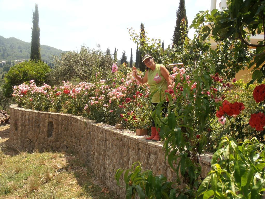 Linda House Corfu Appartamento Gastouri (Corfu)